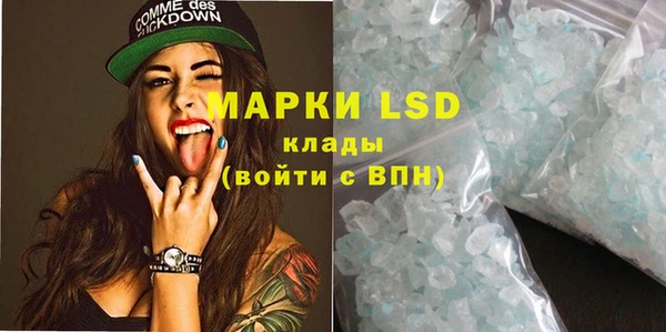 гашик Снежногорск