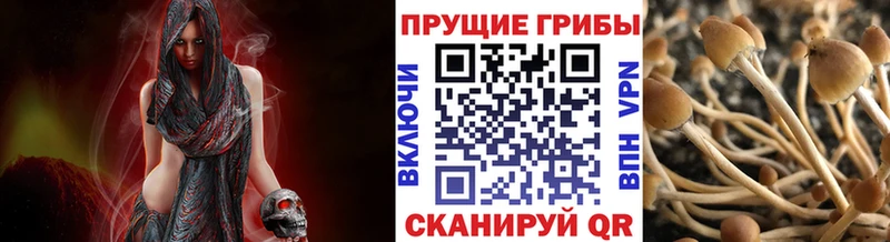 Псилоцибиновые грибы Psilocybine cubensis  blacksprut маркетплейс  Туринск 